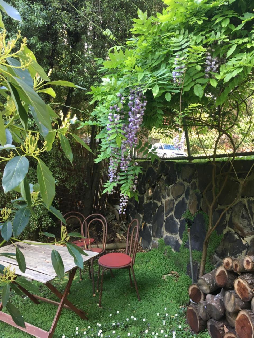 Stone'S Throw Cottage Bed And Breakfast Belgrave Eksteriør bilde